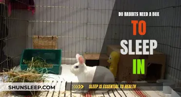 Rabbits' Sleeping Arrangements: Do They Need a Box?