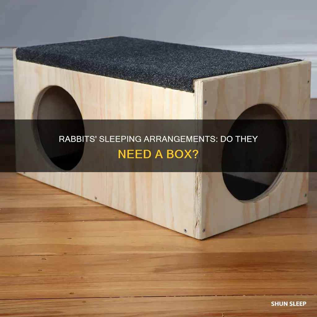 do rabbits need a box to sleep in