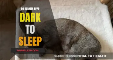 Rabbits' Sleeping Habits: Light or Dark?