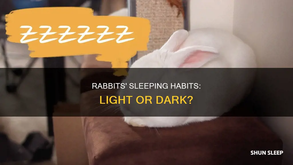do rabbits need dark to sleep
