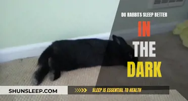 Rabbits and Darkness: Do They Sleep Better?