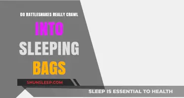 Rattlesnakes in Sleeping Bags: Fact or Fiction?