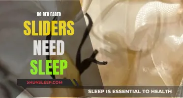 Red-Eared Sliders: Do They Need Sleep Like Us?
