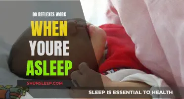 Reflex Actions: Do They Work While You Sleep?