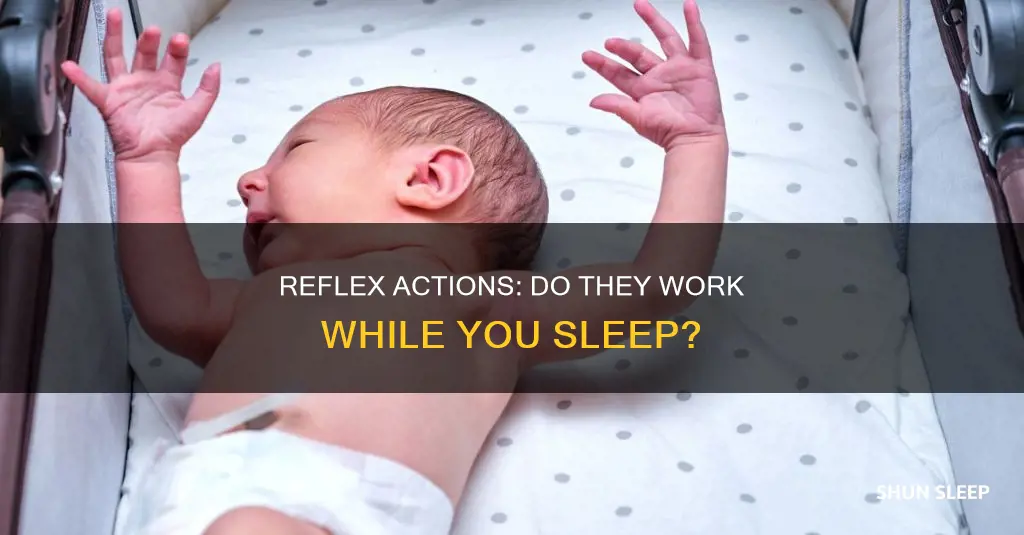 do reflexes work when youre asleep