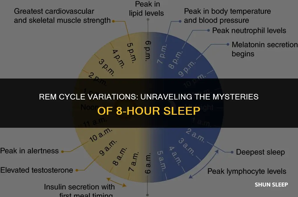 do rem cycles vary between people for sleep 8 hours