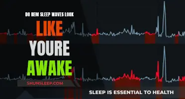 REM Sleep: Brain Waves During Wakefulness