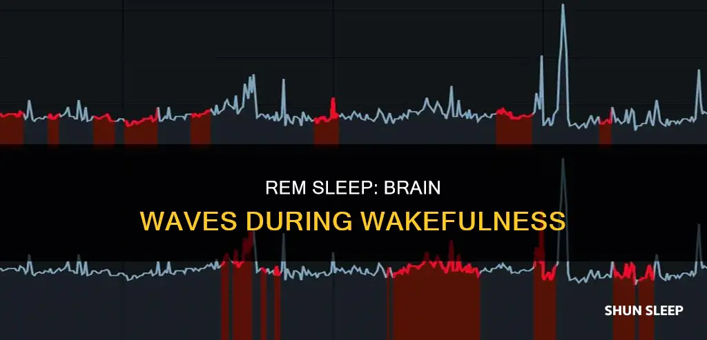 do rem sleep waves look like youre awake