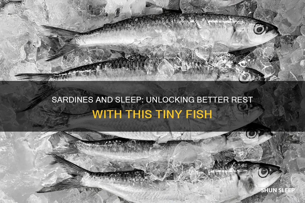 do sardines help you sleep