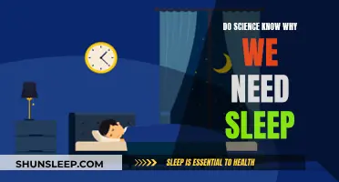 Why Do We Need Sleep? Science Explains