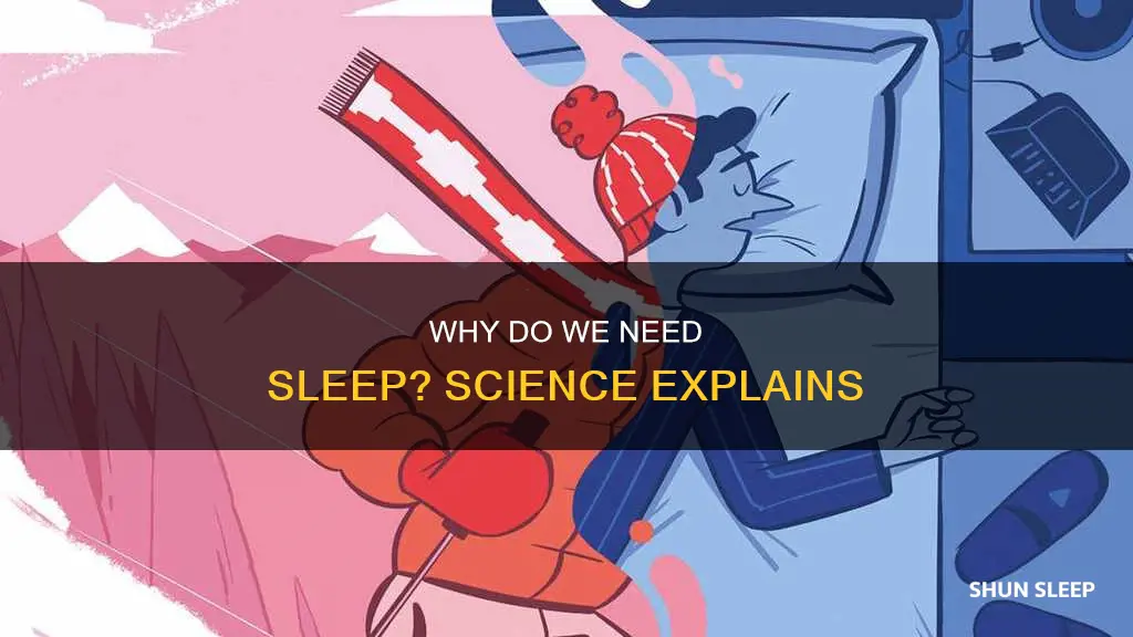 do science know why we need sleep