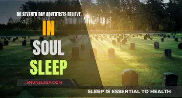 Adventists' Belief: Soul Sleep or Afterlife?