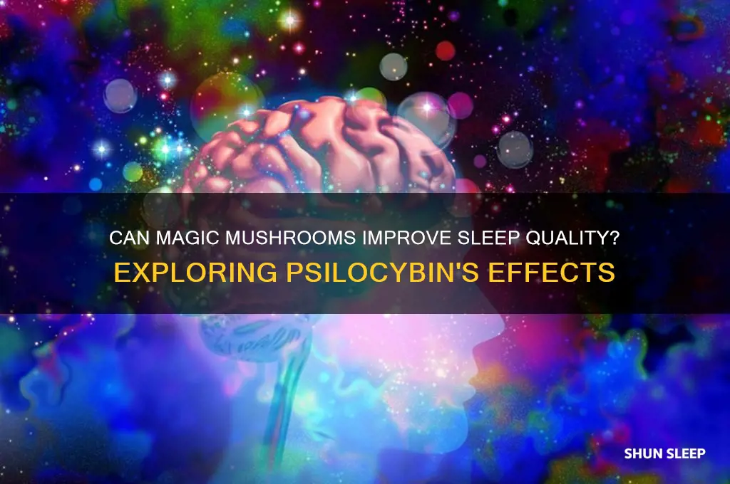 do shrooms help you sleep