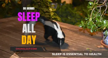 Skunks' Sleeping Patterns: Do They Sleep All Day?