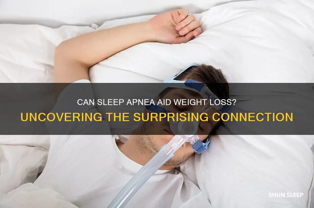 do sleep apnea help lose weight