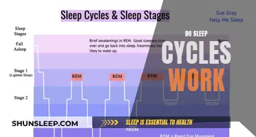 Sleep Cycles: Do They Work?