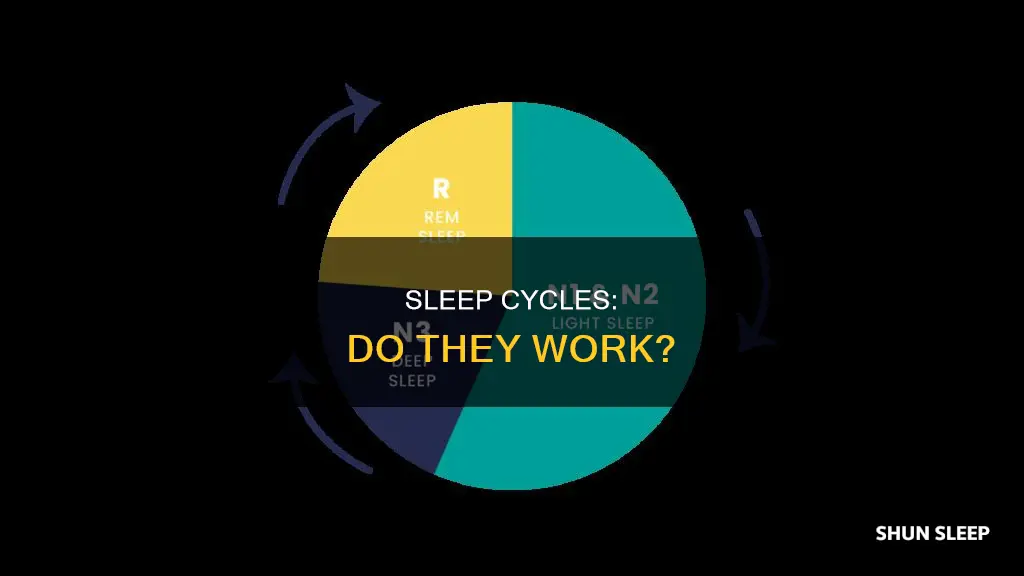 do sleep cycles work