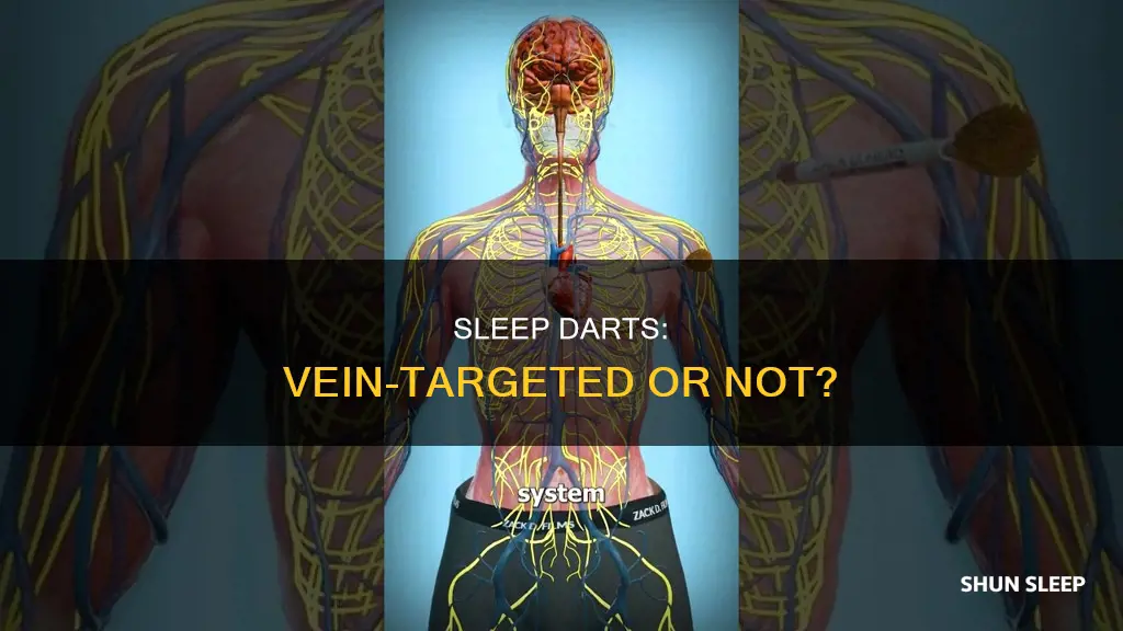 do sleep darts need to hit the vein