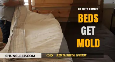 Do Sleep Number Beds Develop Mold? Facts and Prevention Tips