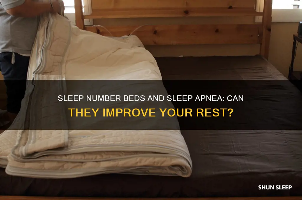 do sleep number beds help sleep apnea