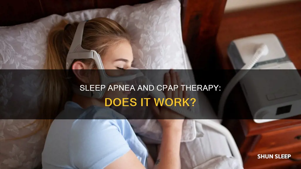 do sleep paps work