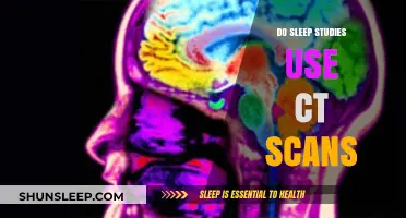 Sleep Studies: CT Scans and Brain Activity