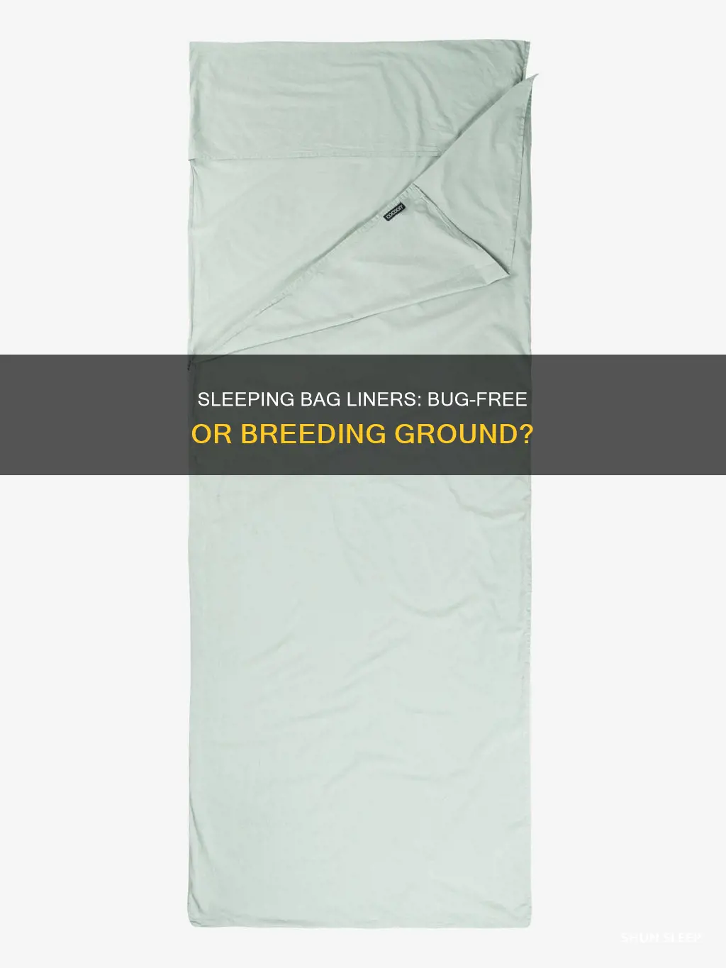 do sleeping bag liners carry bugs