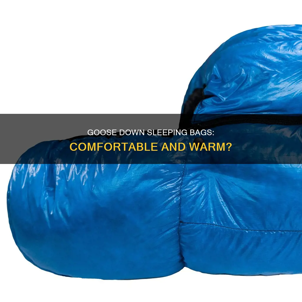 do sleeping bags still use goose down