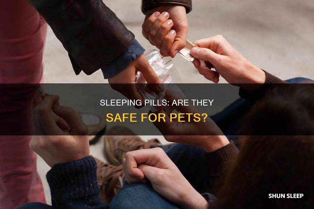 do sleeping pills hurt animals
