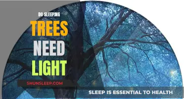 The Science of Sleeping Trees: Light or Dark?