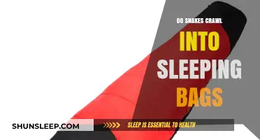 Snakes in Sleeping Bags: What Are the Risks?