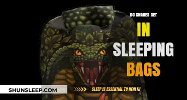 Do Snakes Crawl into Sleeping Bags? Facts and Prevention Tips