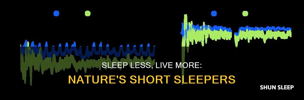 do some need less sleep