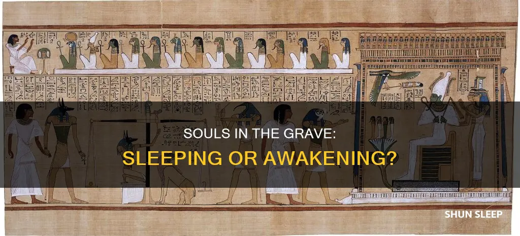 do souls sleep in the grave awaiting judgement day