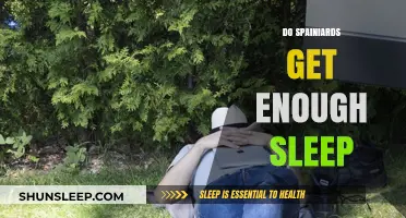 Do Spaniards Sleep Enough? Exploring Spain's Sleep Culture and Habits