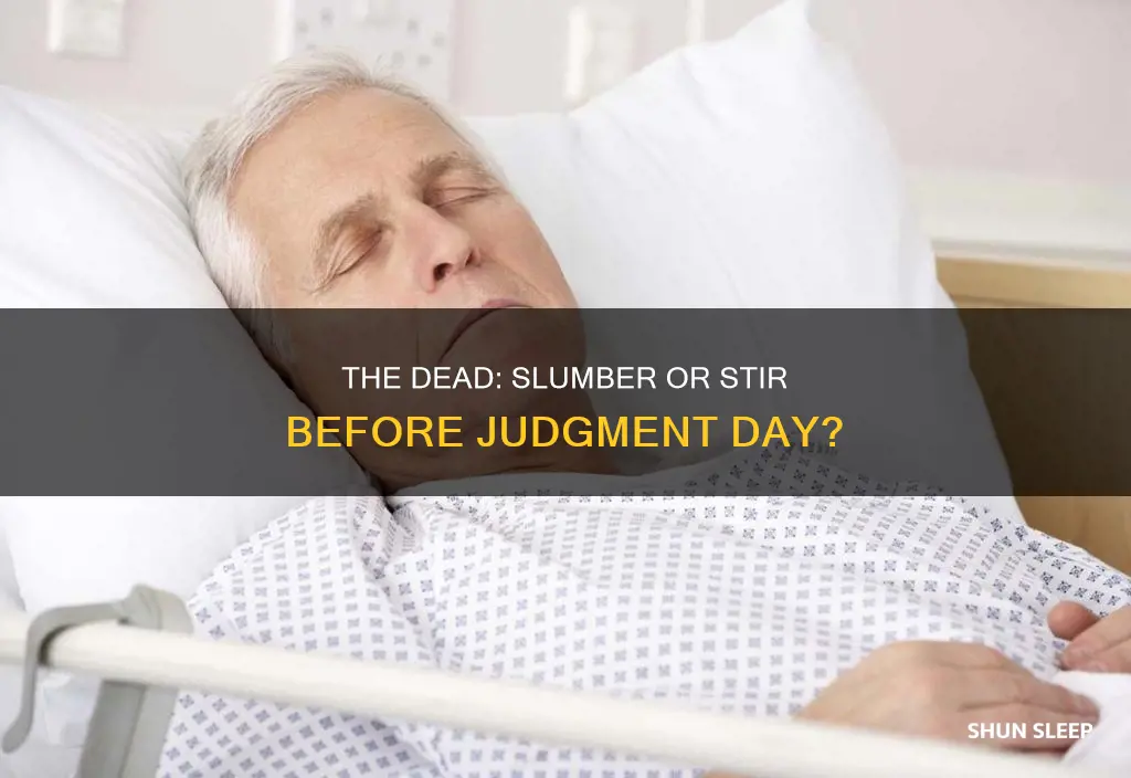 do the dead sleep until judgement day