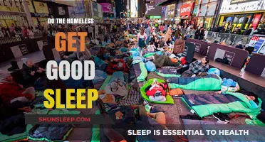 Do the Homeless Get Good Sleep? Exploring Challenges and Solutions