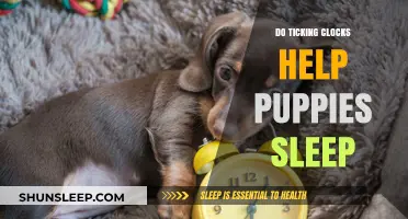 Ticking Clocks and Puppy Sleep: A Soothing Solution or Distraction?
