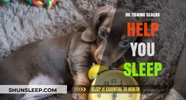 Ticking Clocks: Sleep Aid or Distraction? Unraveling the Truth