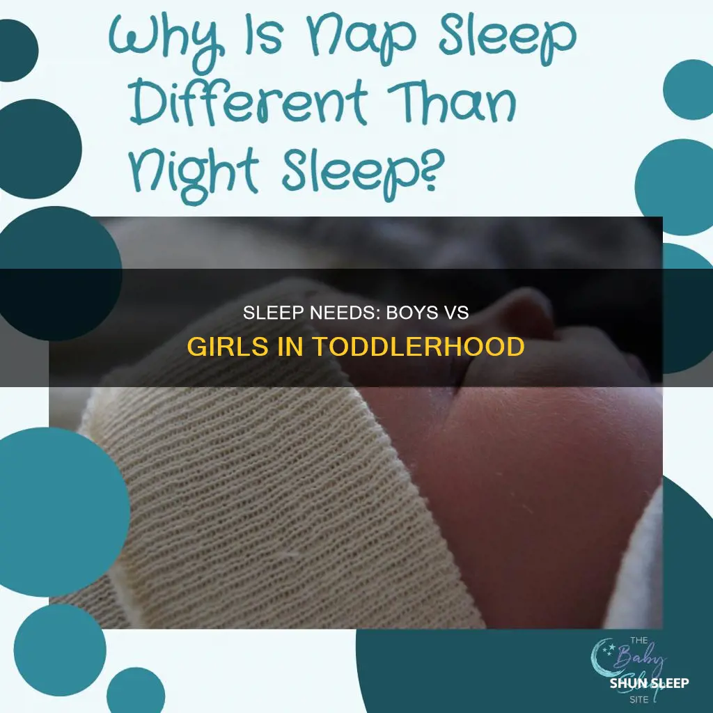 do toddler boys need more sleep than toddler girls
