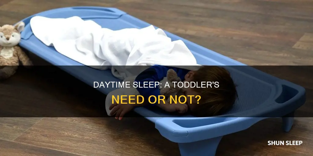 do toddlers need to sleep during the day