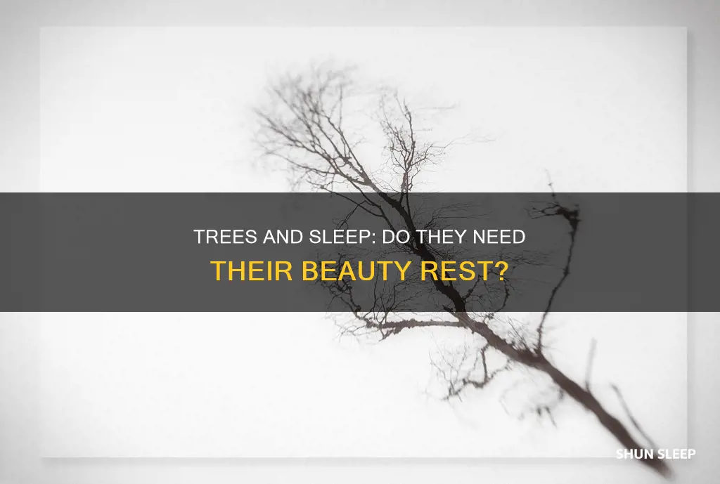 do trees need sleep