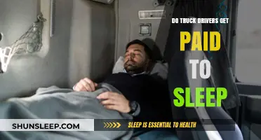 Do Truck Drivers Get Paid to Sleep? Uncovering the Truth