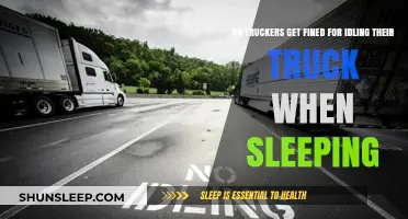Truckers and Idling Fines: What Happens When Sleeping in the Cab?