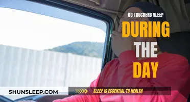 Truckers' Sleep Schedules: Day or Night?