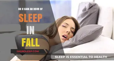 Autumn's Gift: An Extra Hour of Sleep?