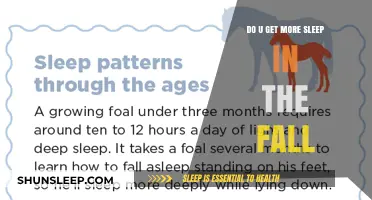 Fall's Sleep Secrets: Do We Really Rest More as Leaves Change?