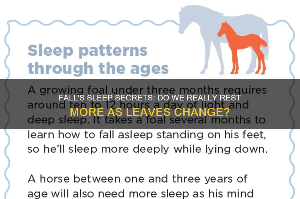 do u get more sleep in the fall