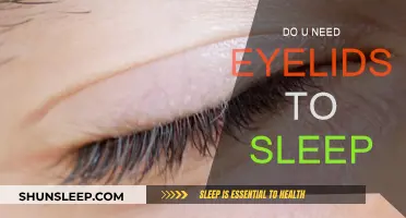 Eyelids: Sleep's Unsung Heroes or Just an Accessory?