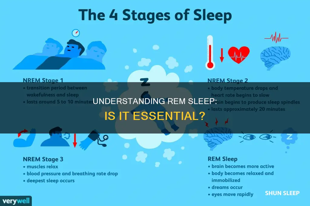 do u need rem sleep